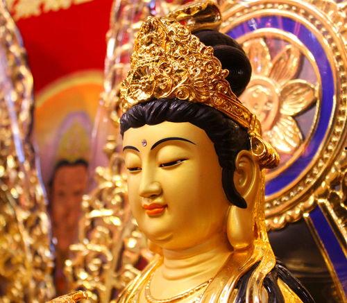 吃瓜功德佛阿尼亚,揭秘瓜界传奇与佛性智慧