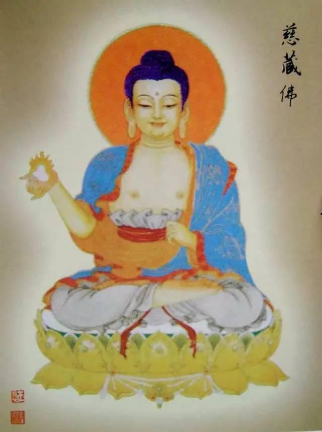 吃瓜功德佛阿尼亚,揭秘瓜界传奇与佛性智慧