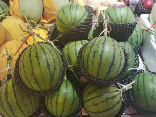 流调排查吃瓜现场