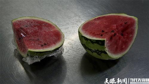 吃隔夜瓜痢疾,揭秘隔夜瓜引发痢疾的惊人真相