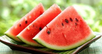 吃隔夜瓜痢疾,揭秘隔夜瓜引发痢疾的惊人真相