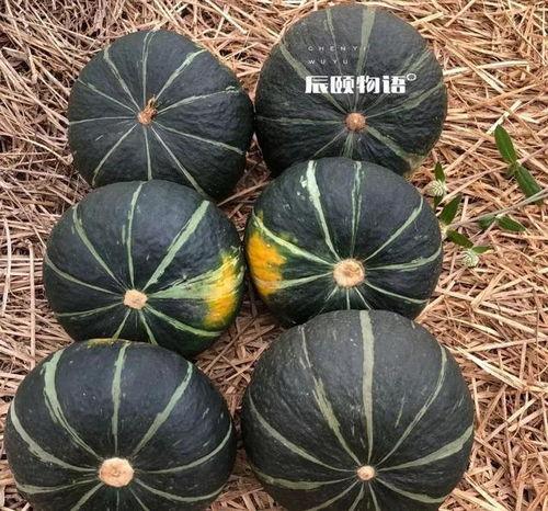 大板栗瓜怎么吃,解锁美味新境界