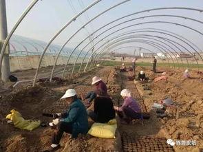 界首吃瓜啥意思,揭秘网络热词背后的文化现象