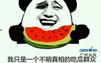 吃瓜盟主真实面目