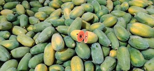 花店吃瓜情报处